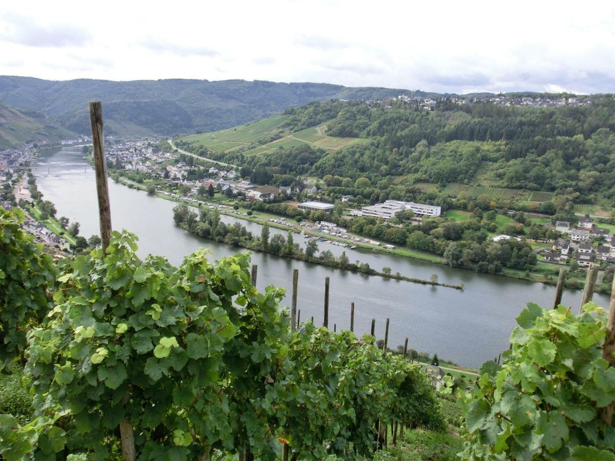 Beim Winzer Daire Zell an der Mosel Dış mekan fotoğraf